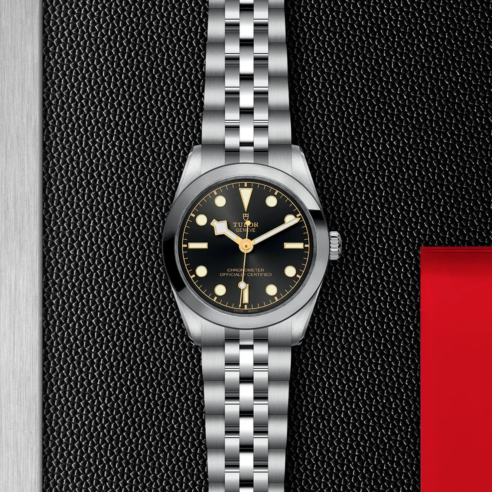 Black Bay 31