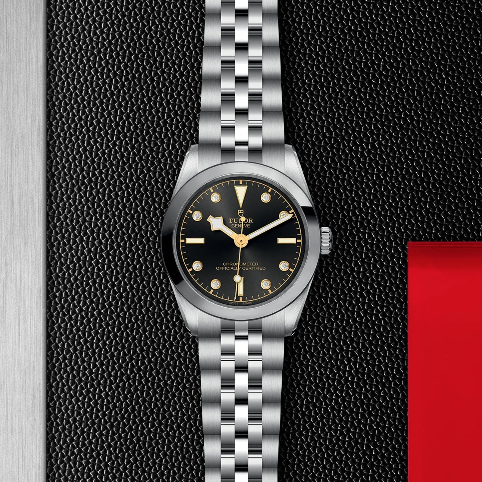Black Bay 31